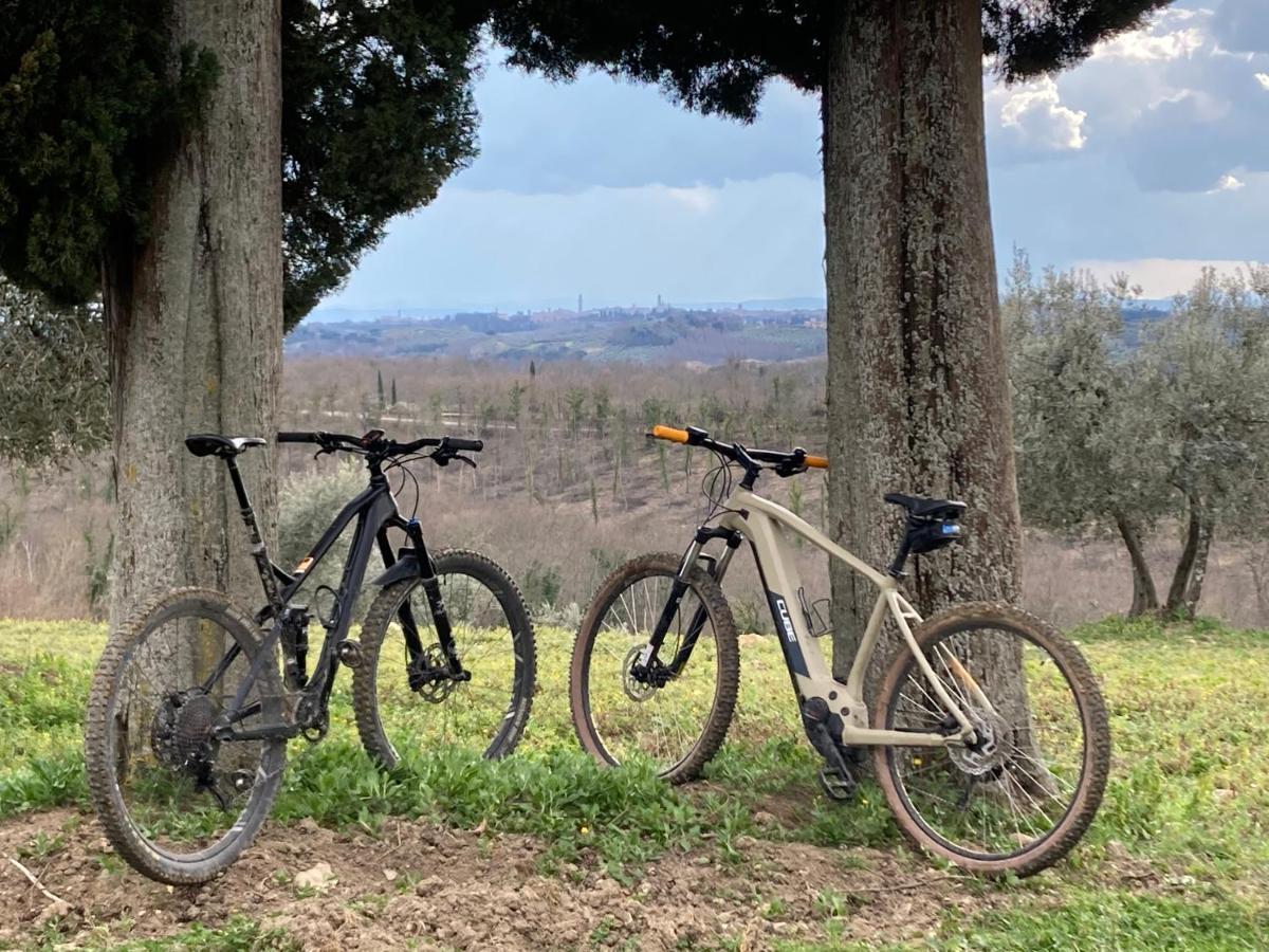 Agriturismo Amina, Winery & Hiking Vagliagli المظهر الخارجي الصورة