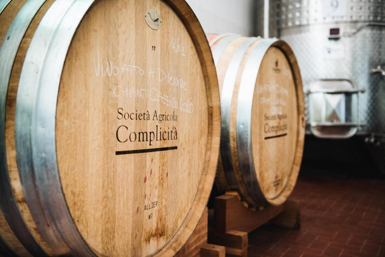 Agriturismo Amina, Winery & Hiking Vagliagli المظهر الخارجي الصورة
