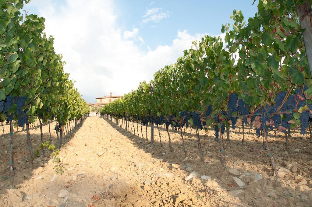 Agriturismo Amina, Winery & Hiking Vagliagli المظهر الخارجي الصورة