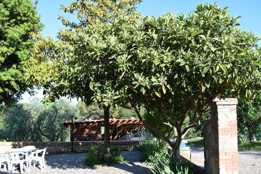 Agriturismo Amina, Winery & Hiking Vagliagli المظهر الخارجي الصورة