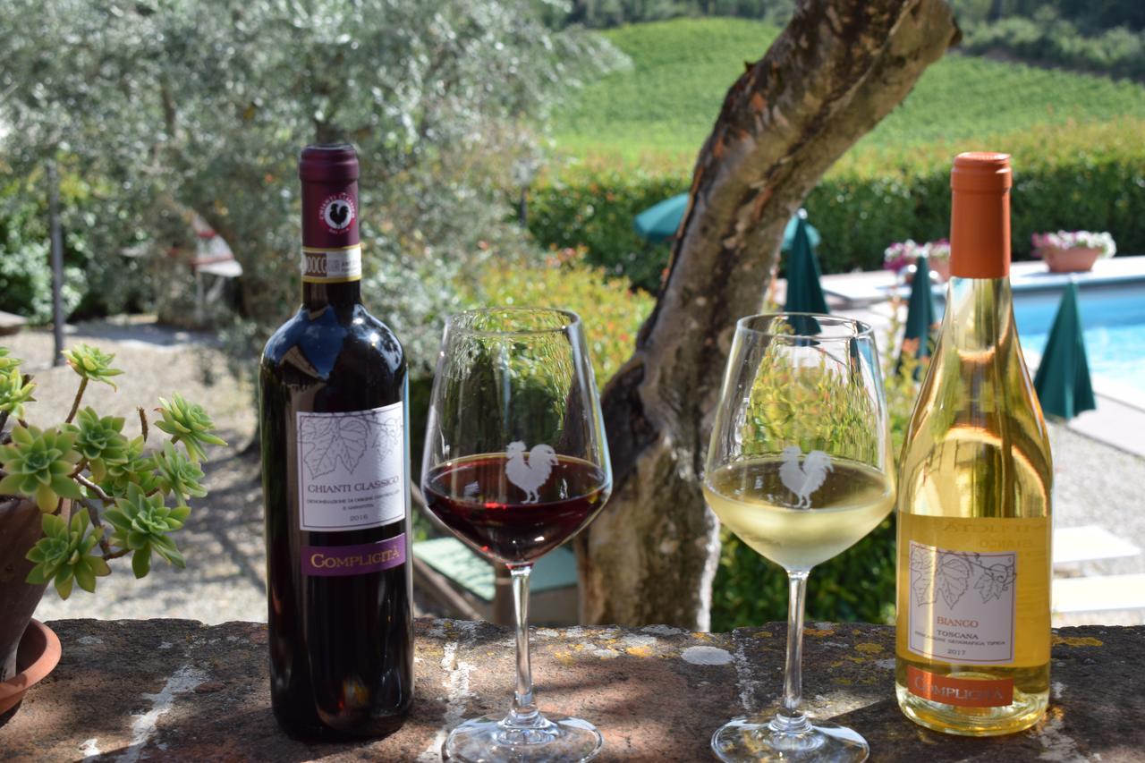 Agriturismo Amina, Winery & Hiking Vagliagli المظهر الخارجي الصورة
